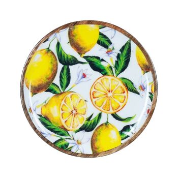 assiette de citron 2