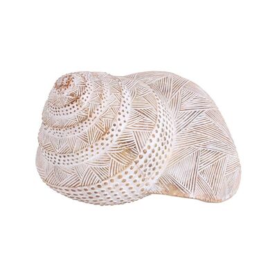Sea Shell Figure