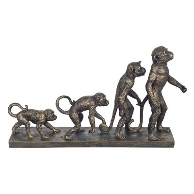 monkey evolution figure