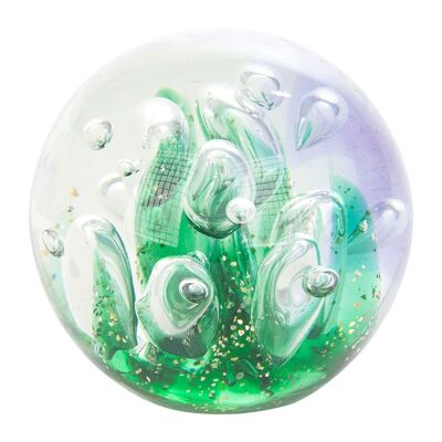 seaweed paperweight