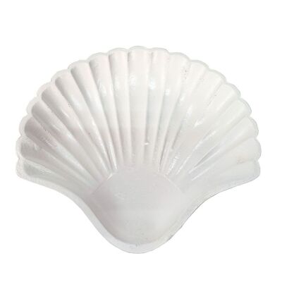Shell shaped plate