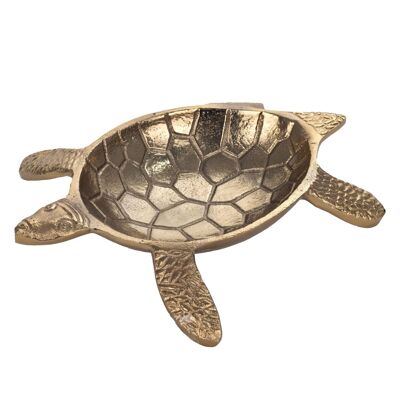 Leerer Taschenschildkrötenteller