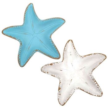 Parabole étoile de mer 2U 1