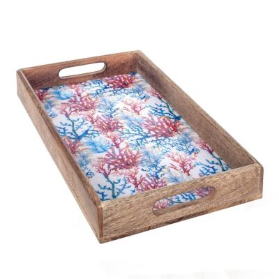 coral tray