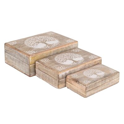 Life Tree Boxes 3 Units