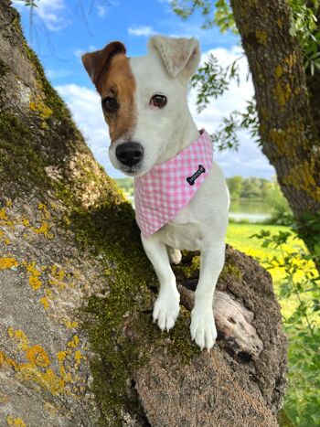 Reversible bandana "I'm chewable" pink gingham for dog and cat 3