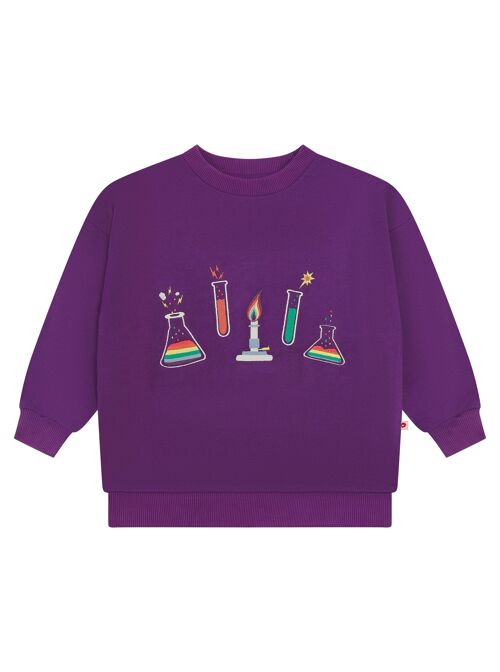 Kids Sweatshirt - Science Embroidered