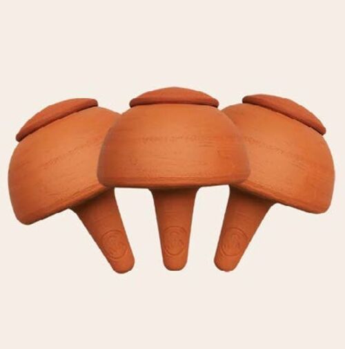 Box 3 Champi Terracotta