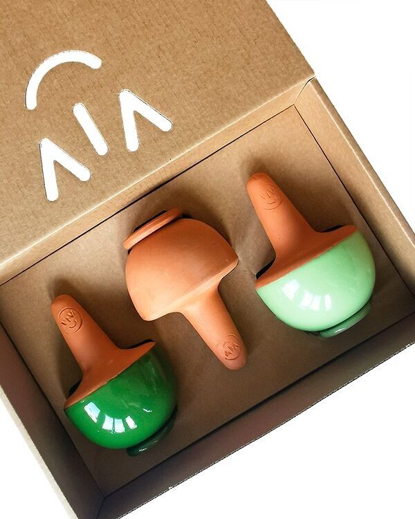 Scatola Oya Champi Terragreen