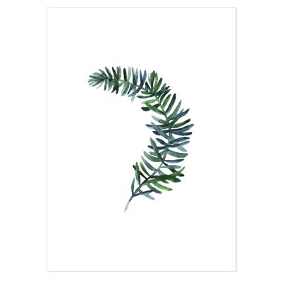 Botanical Fir Tree Leaf Art Print 50x70cm