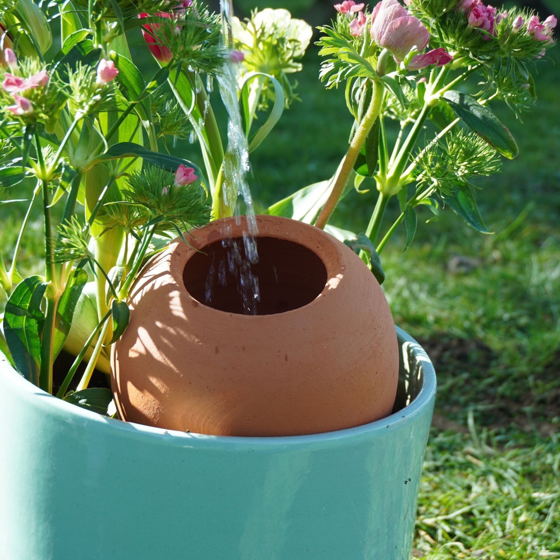 Grandi olle da piantagione - 1 L