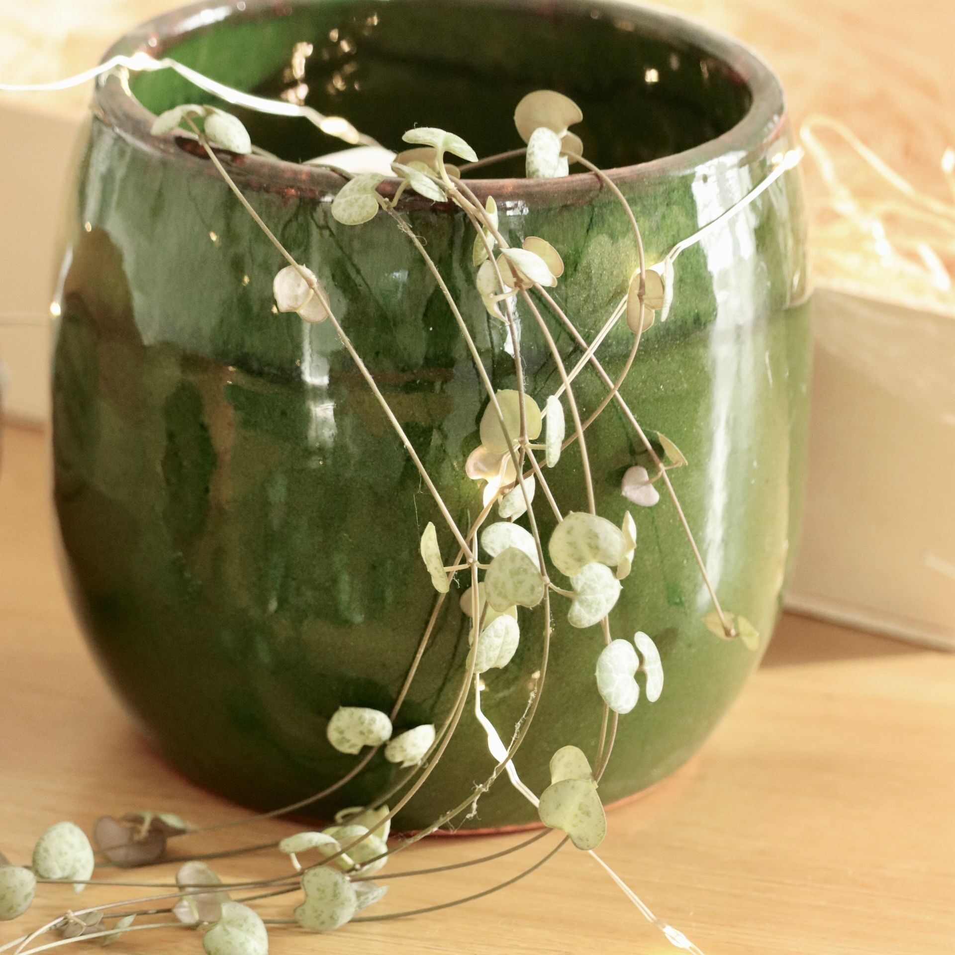 Portavaso Verde Porto