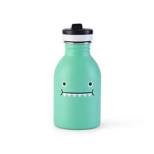 Green Dinosaur Bottle - Ricedino