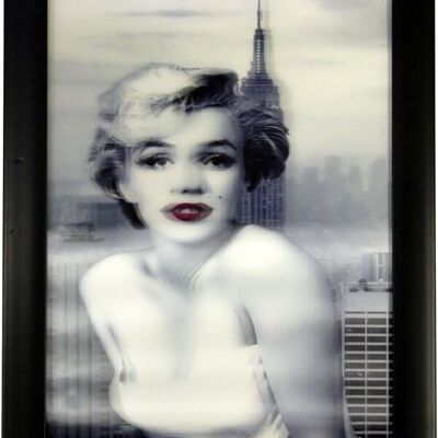 Cuadros HD 3D - Marilyn B