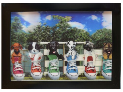 Cuadros HD 3D - Seis cachorros en zapatillas deportivas
