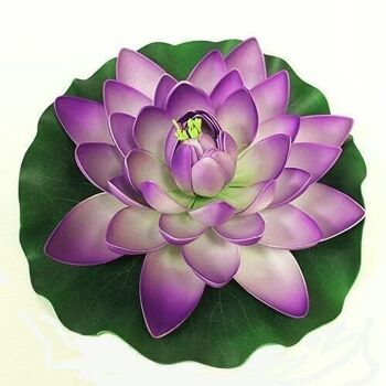 5 grandes fleurs de lotus flottantes 1