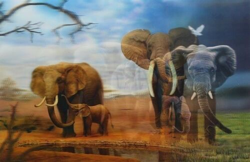 10 Láminas 3D elefantes