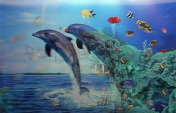 10 feuilles de dauphins 3D | poisson 1