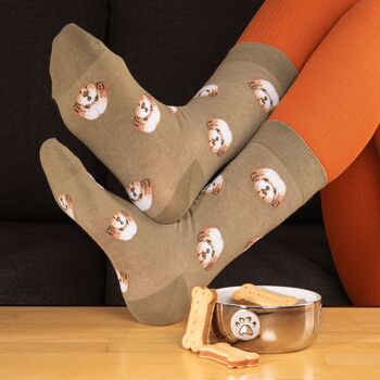 Chaussettes En Coton Hautes Chiens 4