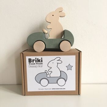 Bunny Car Gris 7