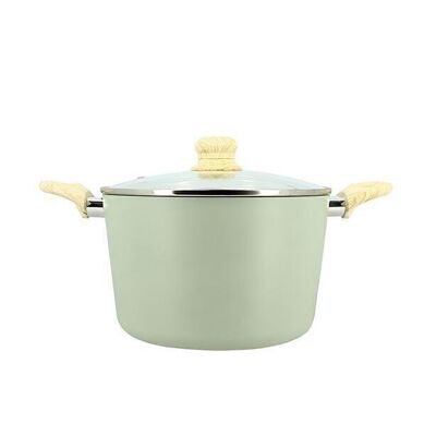 Celadon 24cm induction aluminum stewpan with glass lid