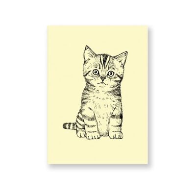Gattino da cartolina