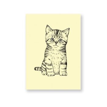 Carte postale Chaton 1