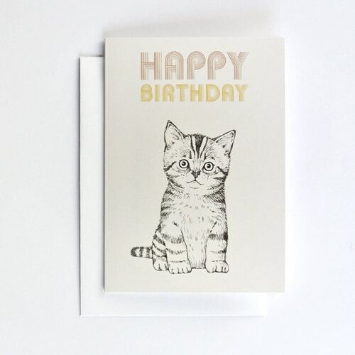 Carte postale double Happy Birthday Chat