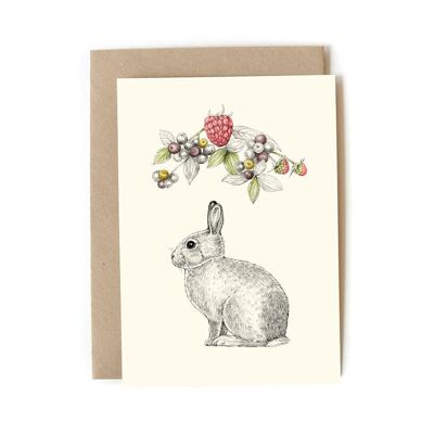 Kaninchen-Frucht-Postkarte + Umschlag