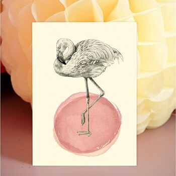 Carte postale simple Flamant rose 2