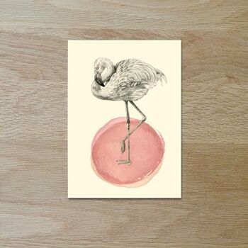 Carte postale simple Flamant rose 3