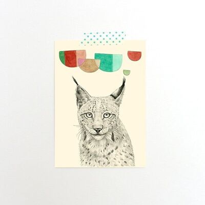 Simple Postcard Lynx