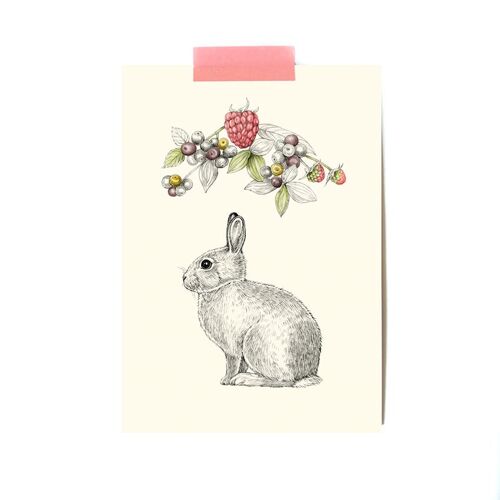 Carte postale simple Lapin-fruits