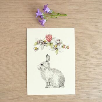 Carte postale simple Lapin-fruits 5