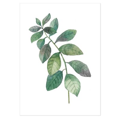 Dark Green Watercolour Leaf Stem Art Print 50x70cm