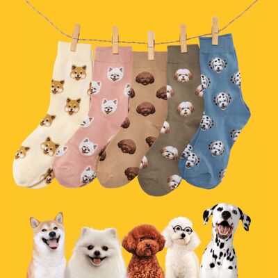 Dog High Socks Box (Pack x5)