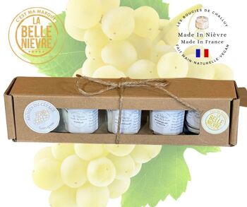 COFFRET - LES MINIS ARÔMES CEPAGE SAUVIGNON