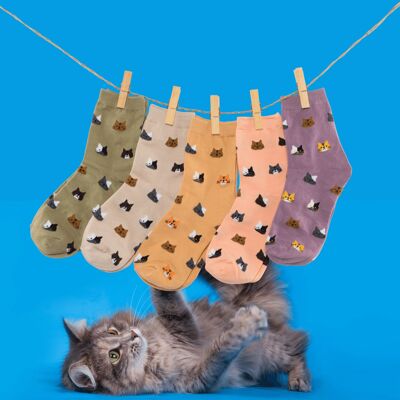 Scatola di calzini con testa di gatto (confezione x5)