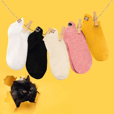 Scatola di calzini con lingua di gatto (confezione x5)