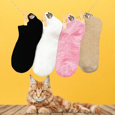 Box Kitten Tongue Socks (set x4)