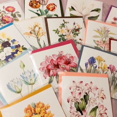 Handgefertigte Grußkarten mit Umschlag – Botanic Vintage