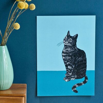 Posters | cat (blue background)