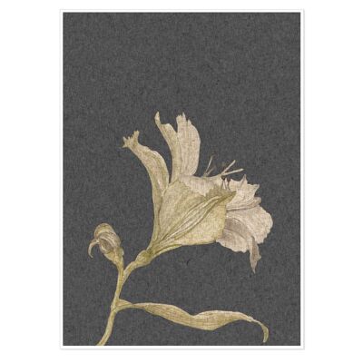 Grey Vintage Floral Stem Art Print 50x70cm