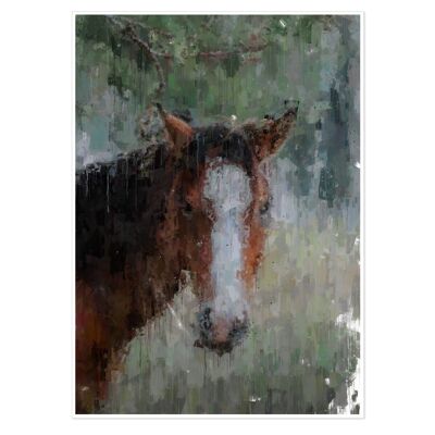 Horse Fine Art Print 50x70cm
