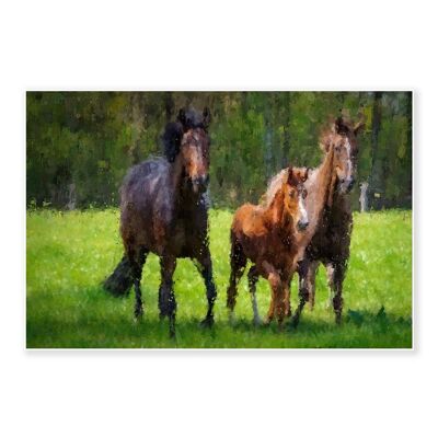 Horses Running In The Field Art Print 50x70cm