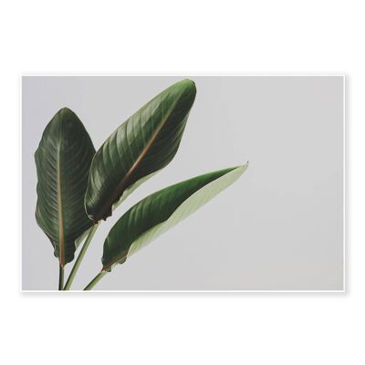 Minimal Botanical Leaf Art Print 50x70cm