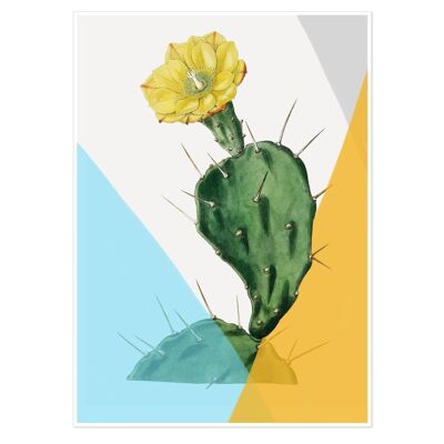 Modern Blooming Cactus Art Print 50x70cm
