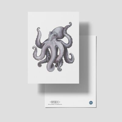 Oktopus Postkarte