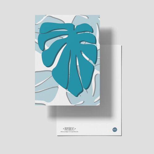 Monstera Postkarte