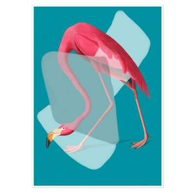 Pink Flamingo In Teal Pop Art Print 50x70cm